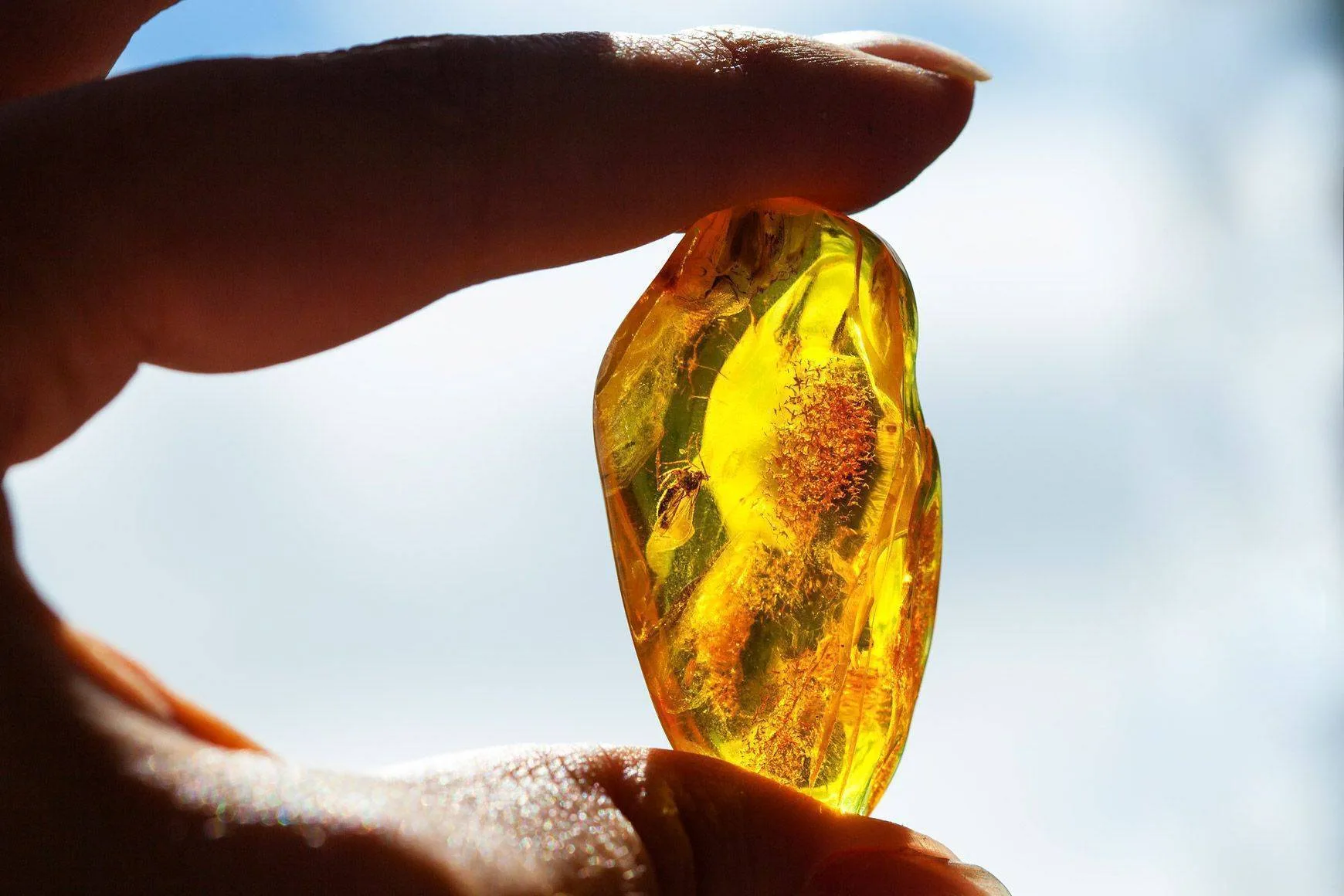 Amber as a gemstone